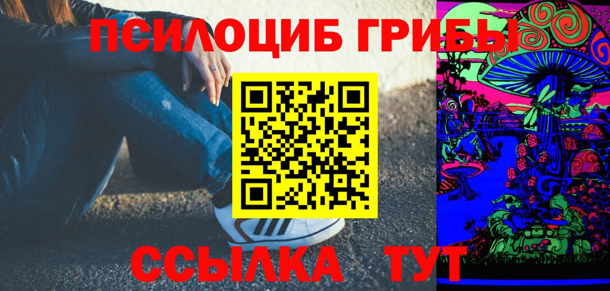 Псилоцибиновые грибы Psilocybe Кимовск