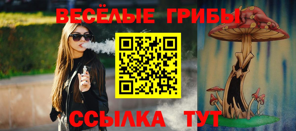 Кимовск  Псилоцибиновые грибы Psilocybe  Вход с VPN  Галлюциногенные грибы Magic Shrooms 